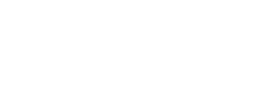 PROFESSIONAL GROUP